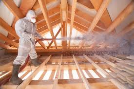 Eco-Friendly or Green Insulation Solutions in Shenandoah, IA