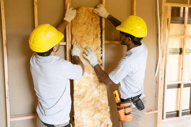 Best Batt and Roll Insulation  in Shenandoah, IA